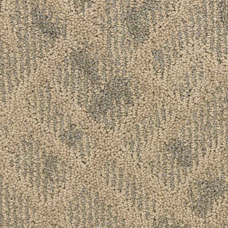 Orion carpet by Masland