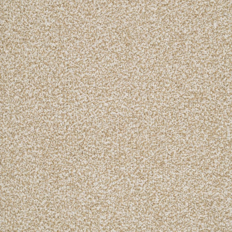 Sunset Key carpet by Masland