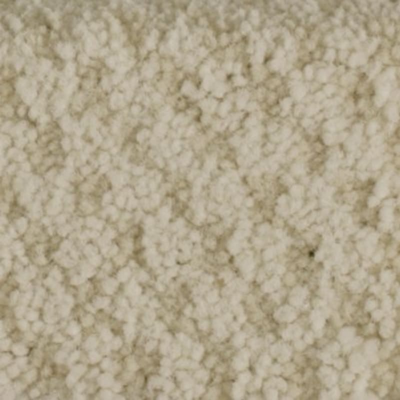 Seurat carpet by Masland