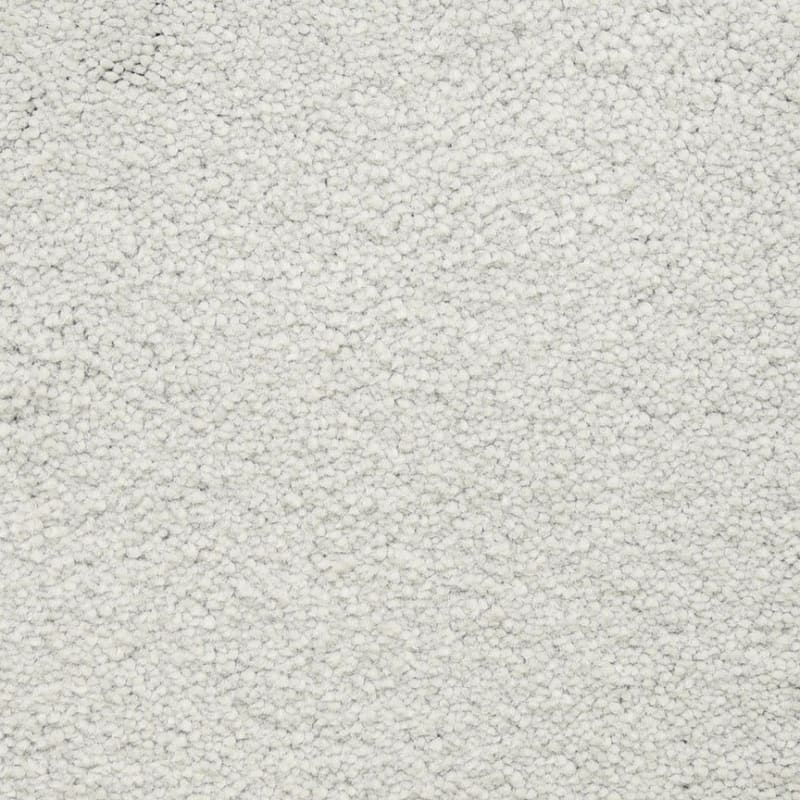Ravishing carpet by Masland