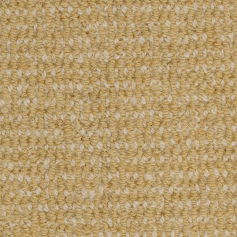 Heatherpoint carpet by Masland