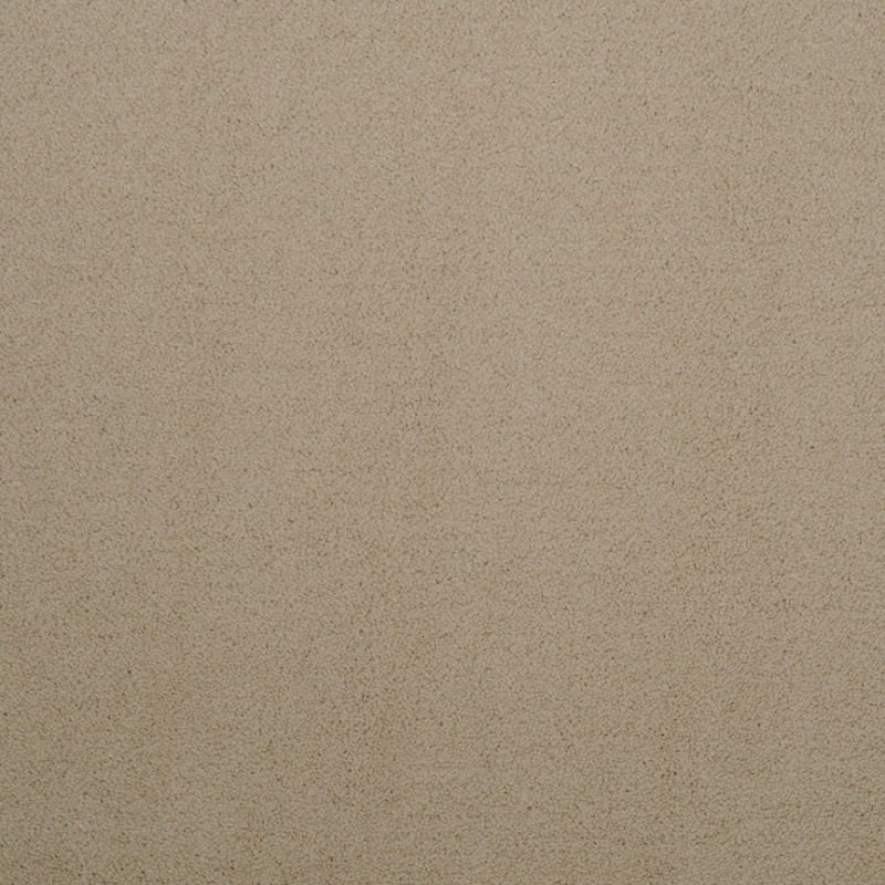 Silk Touch carpet by Masland