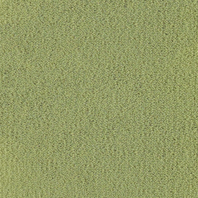 Panache carpet by Masland