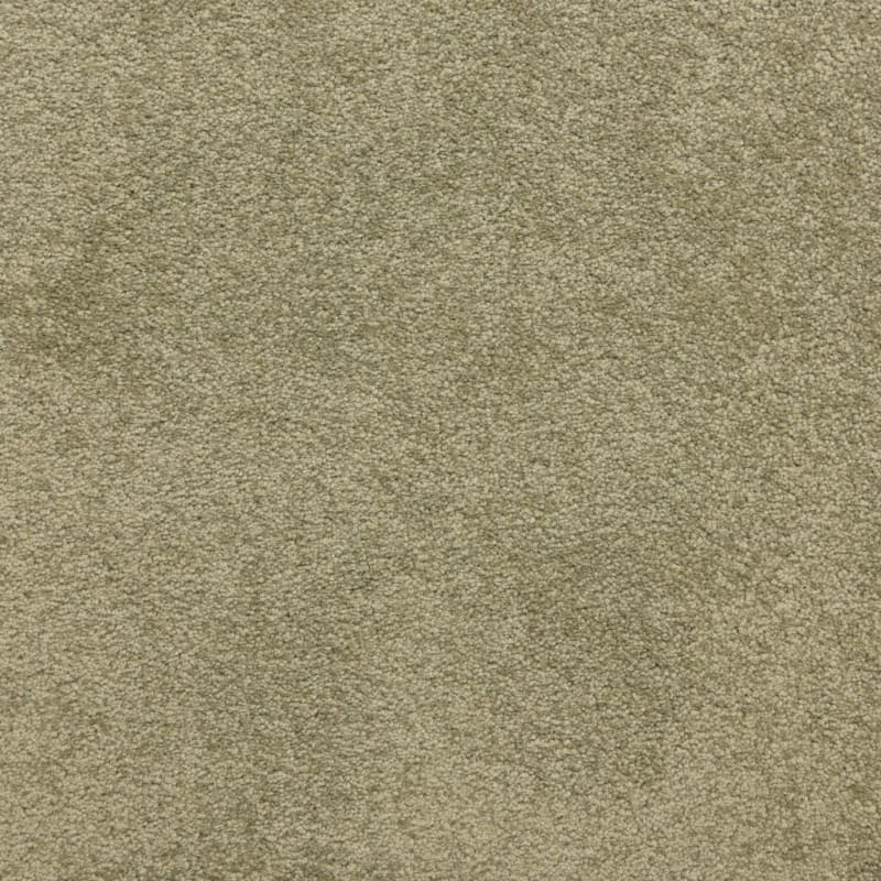 Knockout carpet by Masland