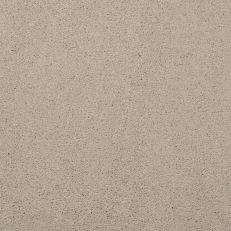 Embrace carpet by Masland