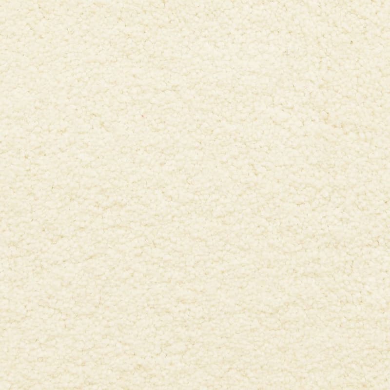 Ravishing carpet by Masland