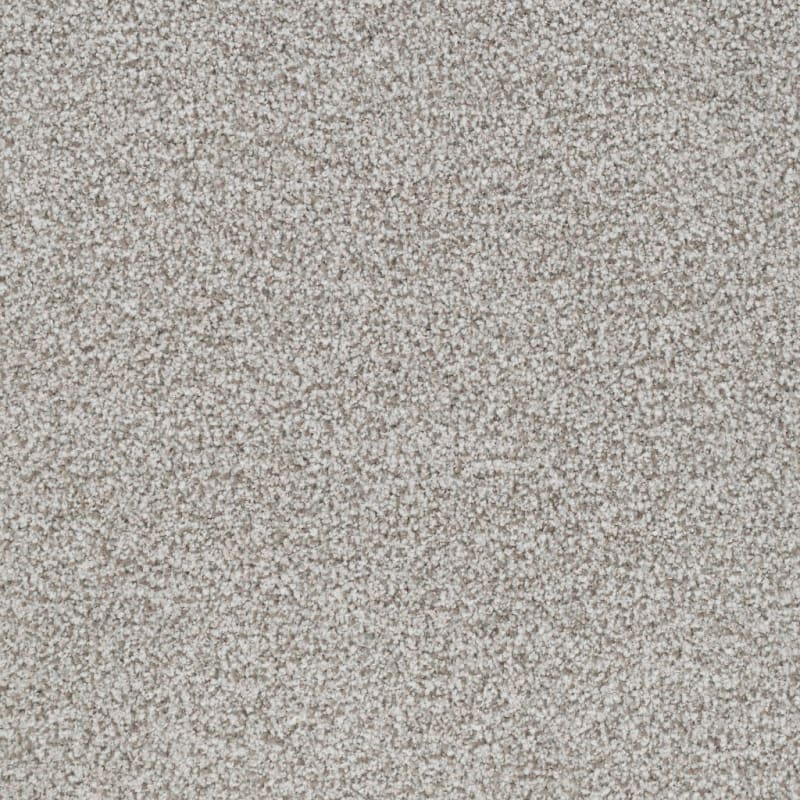 St. Augustine carpet by Masland
