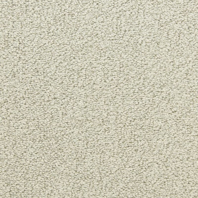 Marina Del Mar carpet by Masland