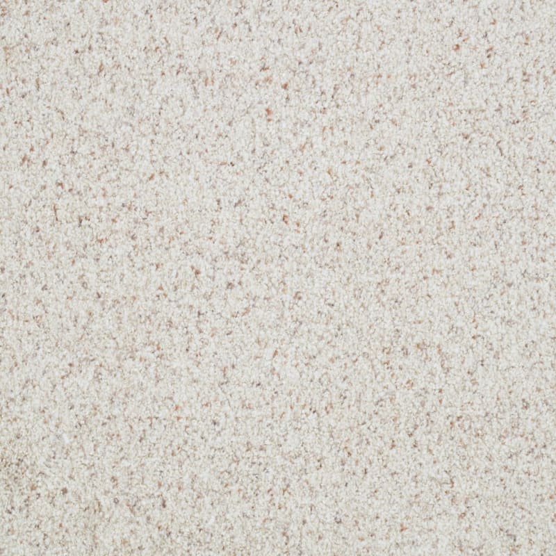 St. Augustine carpet by Masland