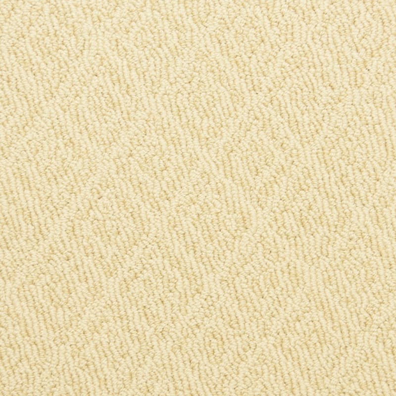 Marquis carpet by Masland