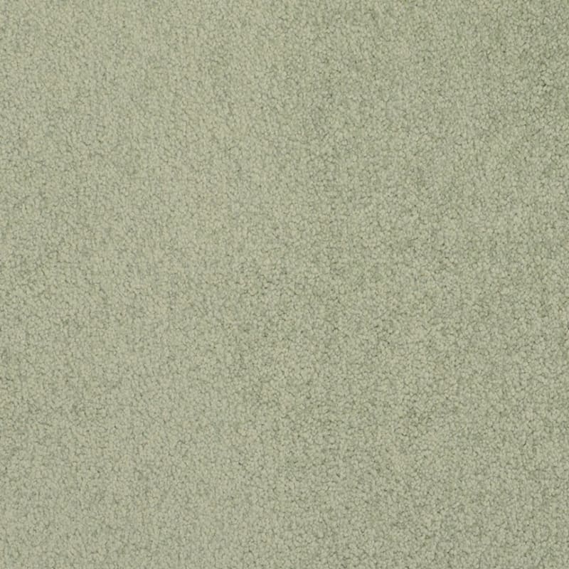 Americana carpet by Masland