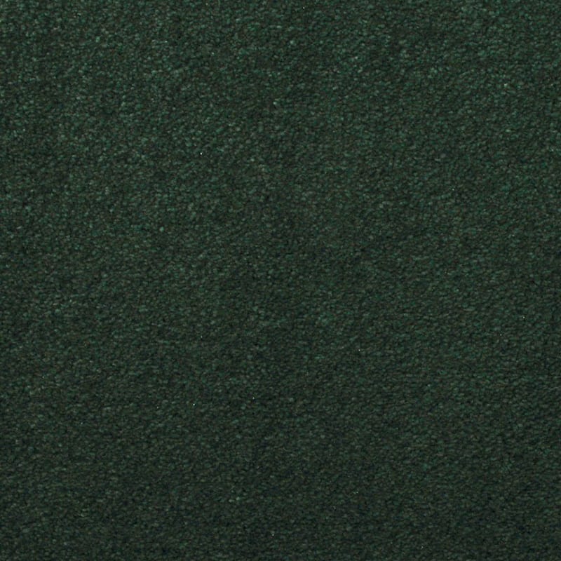 Silk Touch carpet by Masland