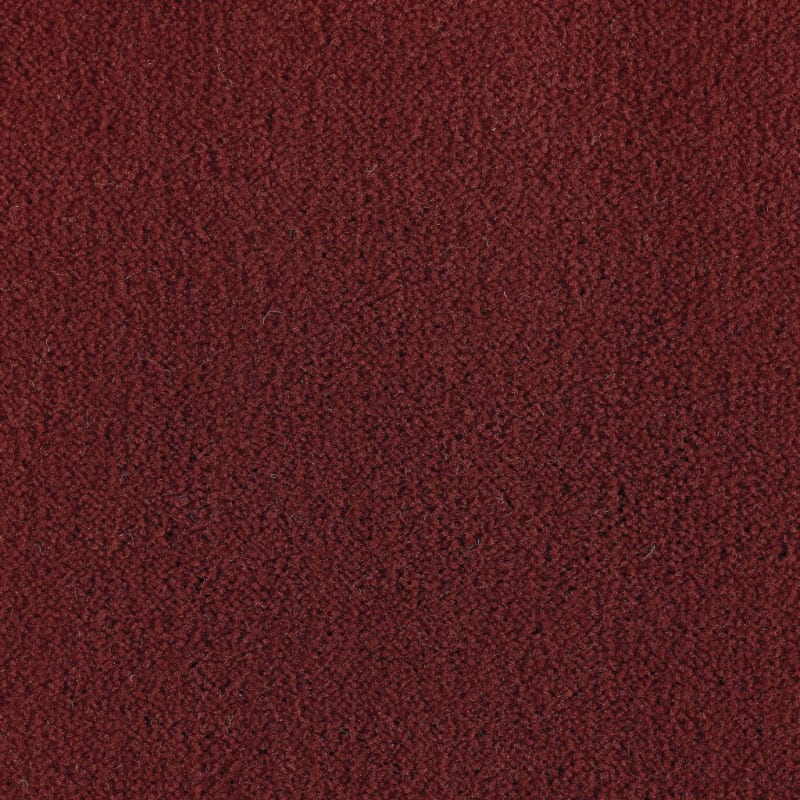 Panache carpet by Masland