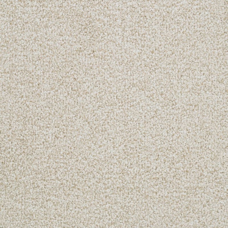 St. Augustine carpet by Masland