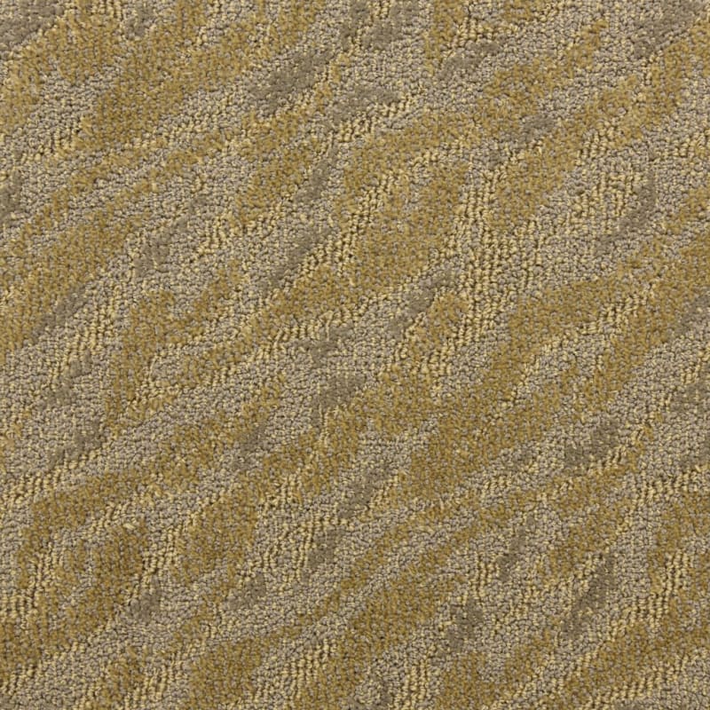 Gamma carpet by Masland