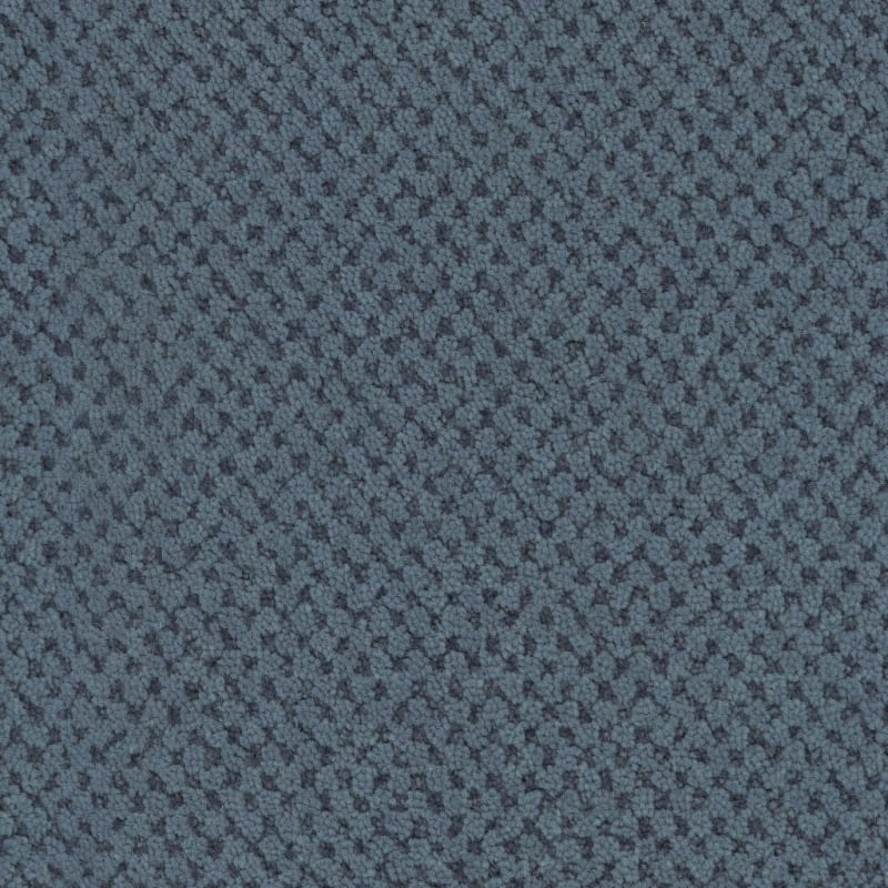 La Parade carpet by Masland