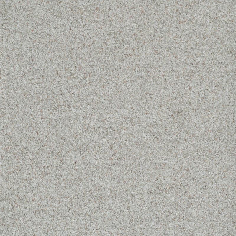 Boca Raton carpet by Masland