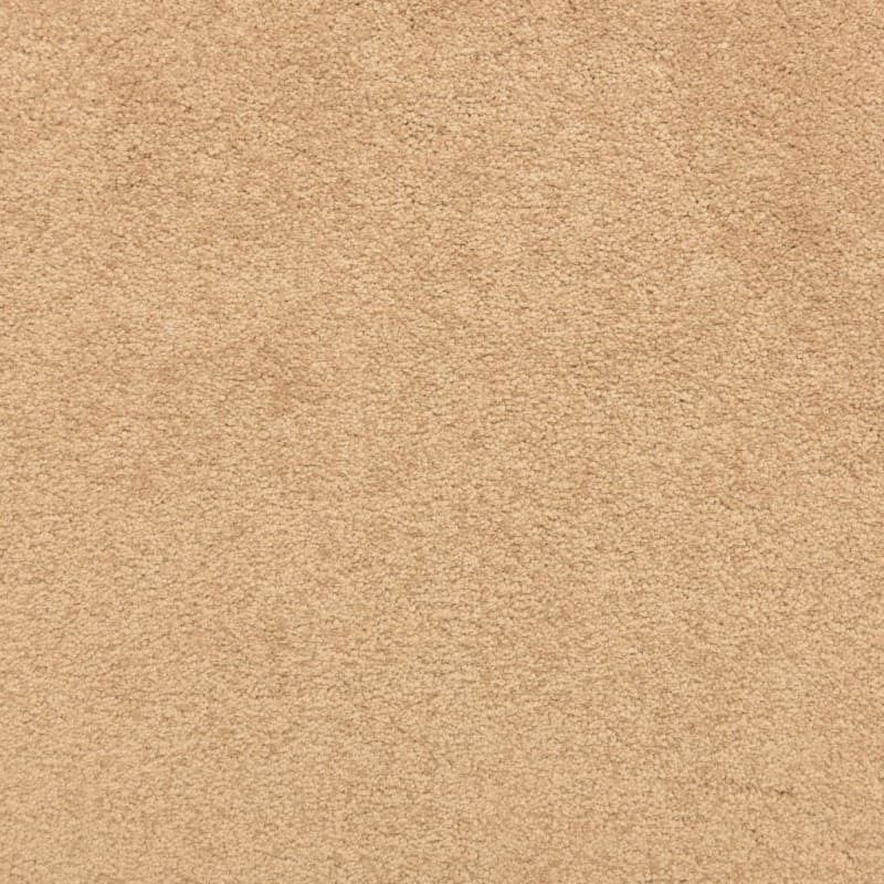 Knockout carpet by Masland