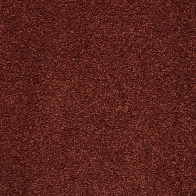 Embrace carpet by Masland