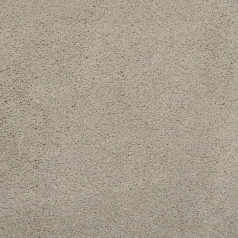 Embrace carpet by Masland