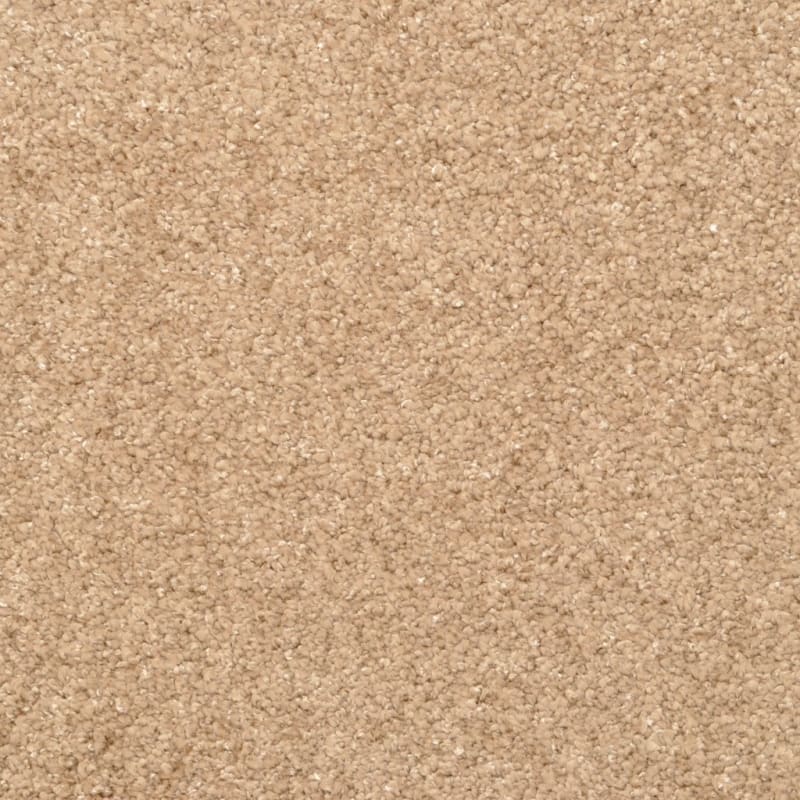 Opalesque carpet by Masland