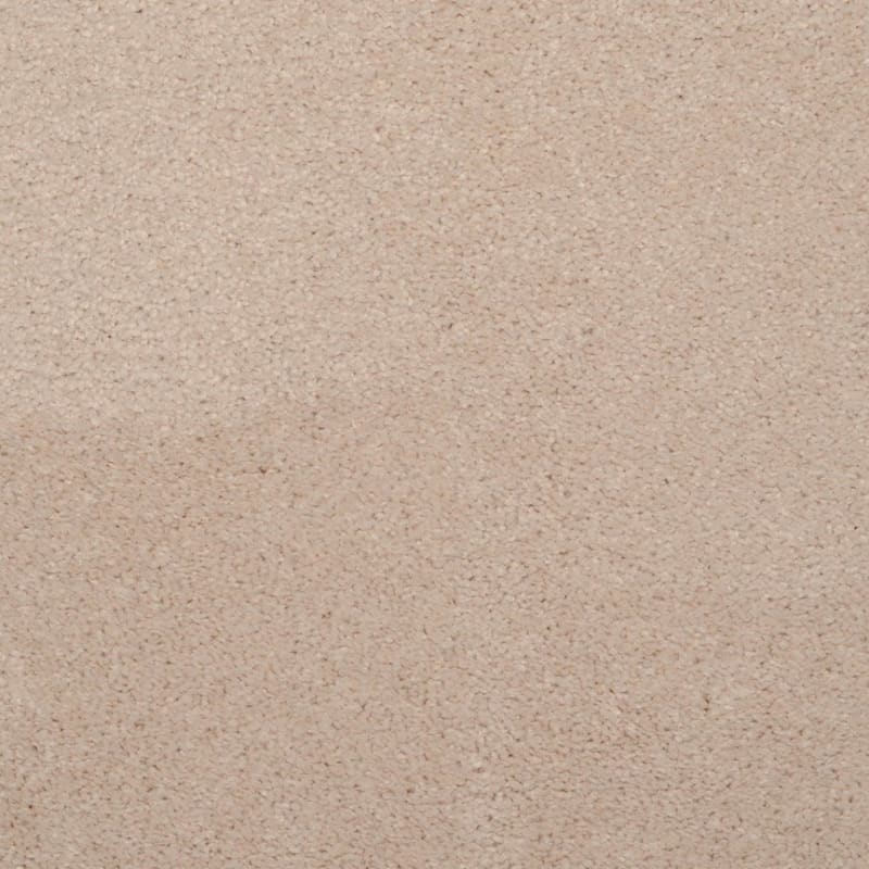 Embrace carpet by Masland
