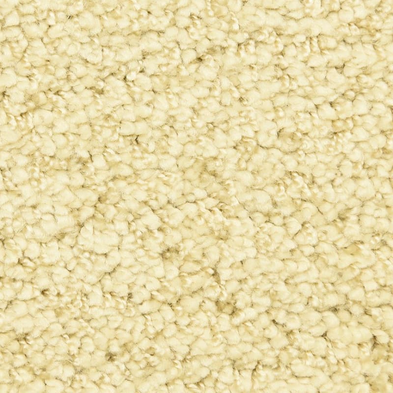 Shangri-La Too carpet by Masland
