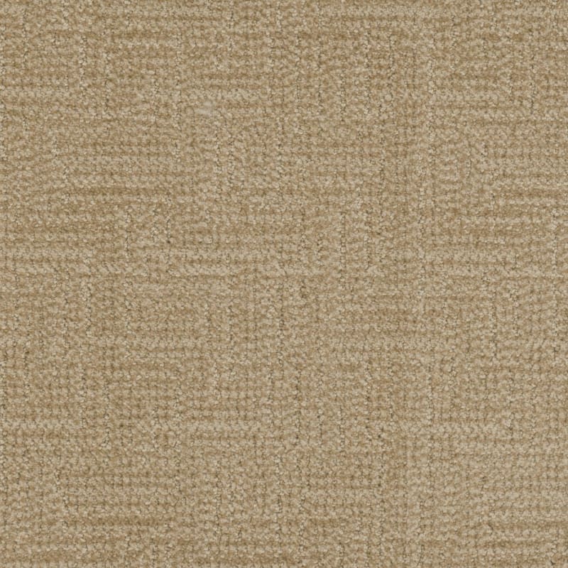 Prestigious carpet by Masland