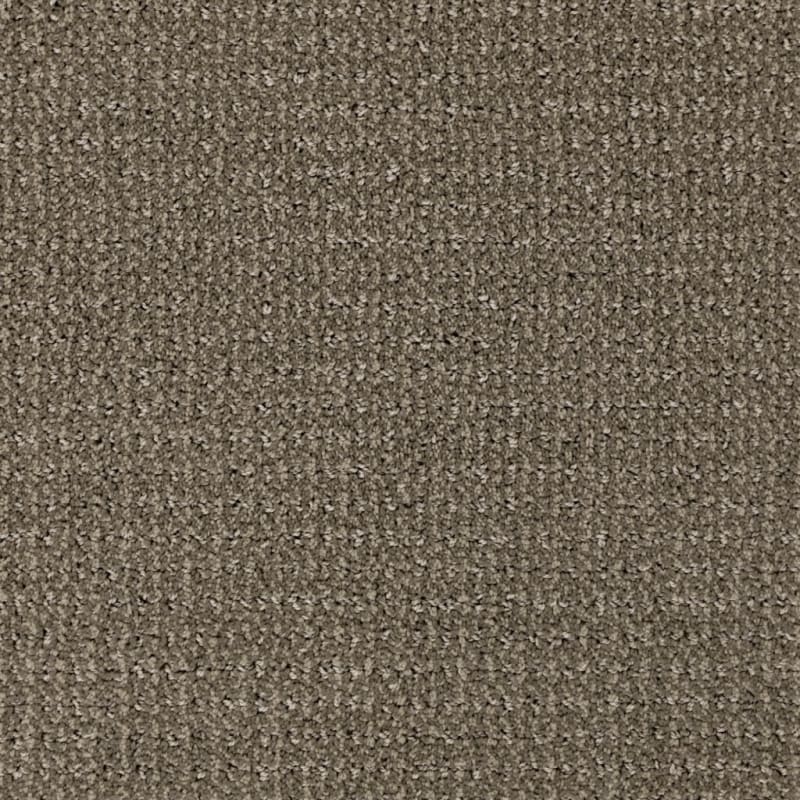 Grand Champion carpet by Masland