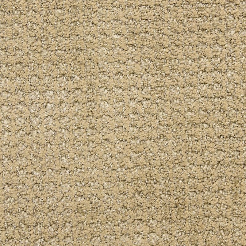Alpha carpet by Masland