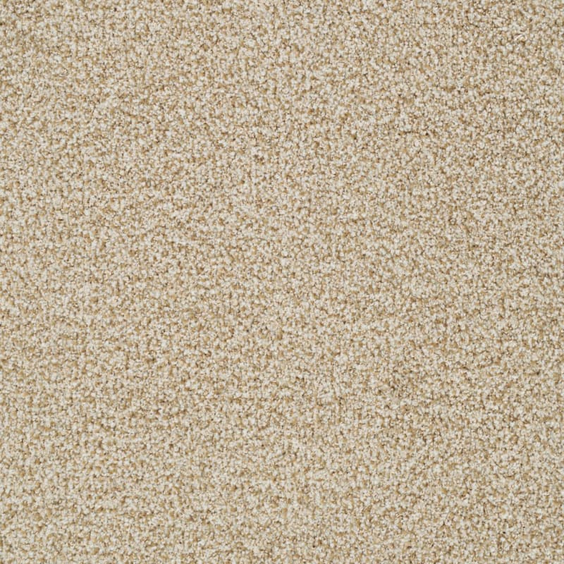 St. Augustine carpet by Masland