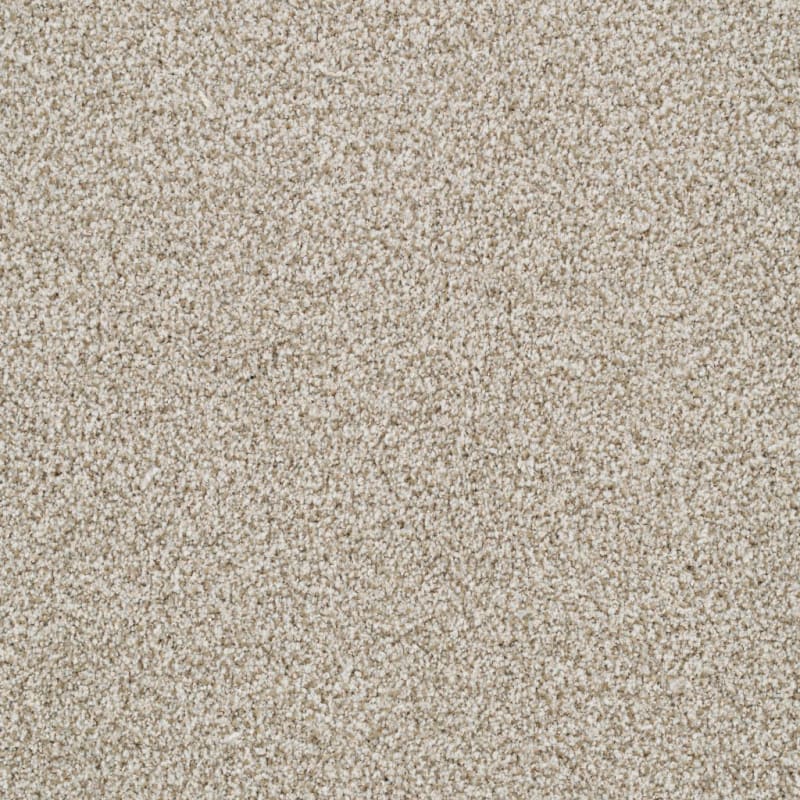 St. Augustine carpet by Masland