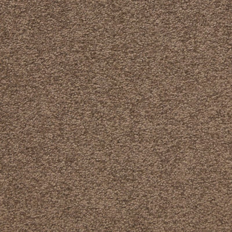Patriot carpet by Masland