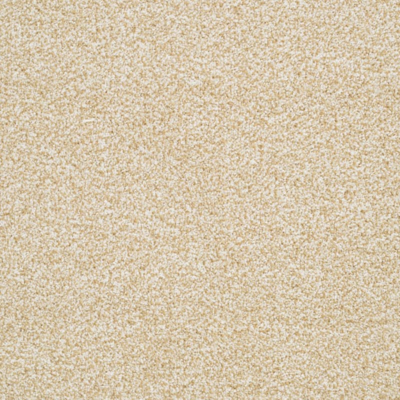 Sunset Key carpet by Masland