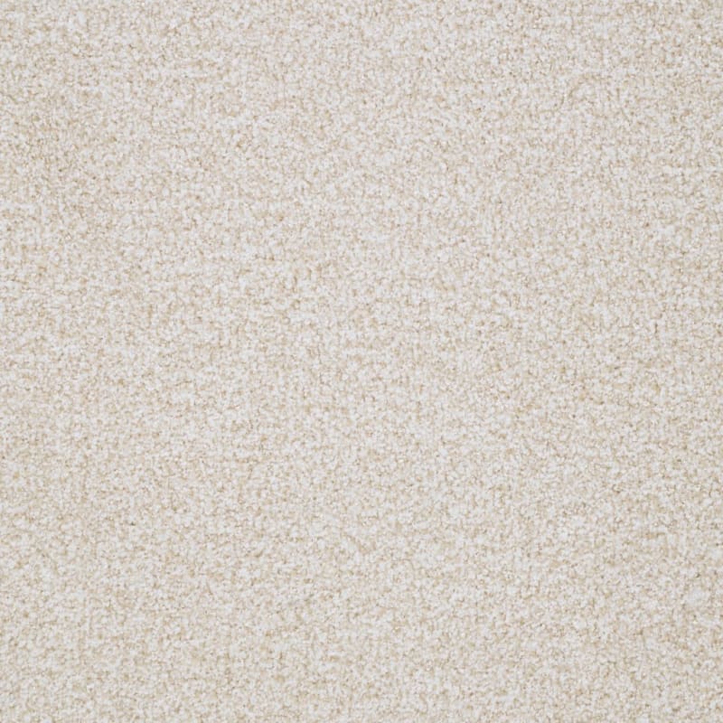 St. Augustine carpet by Masland
