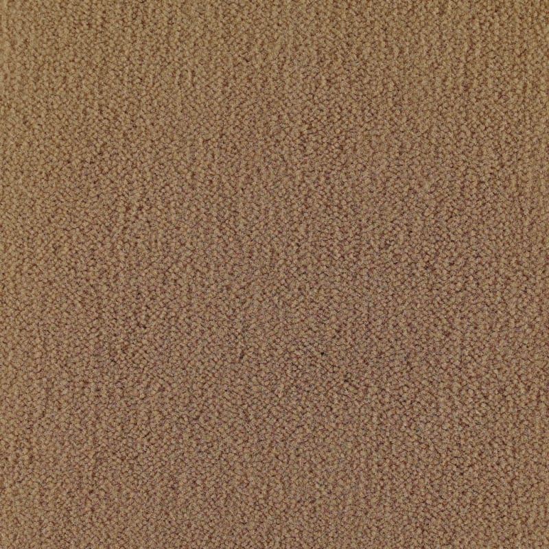 Panache carpet by Masland