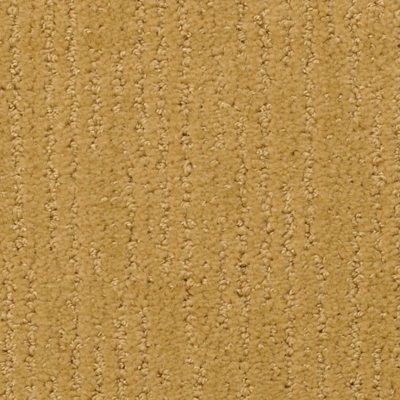 Nature'S Essence carpet by Masland