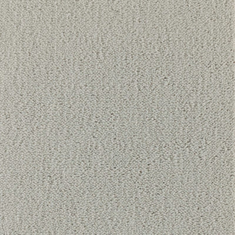 Panache carpet by Masland