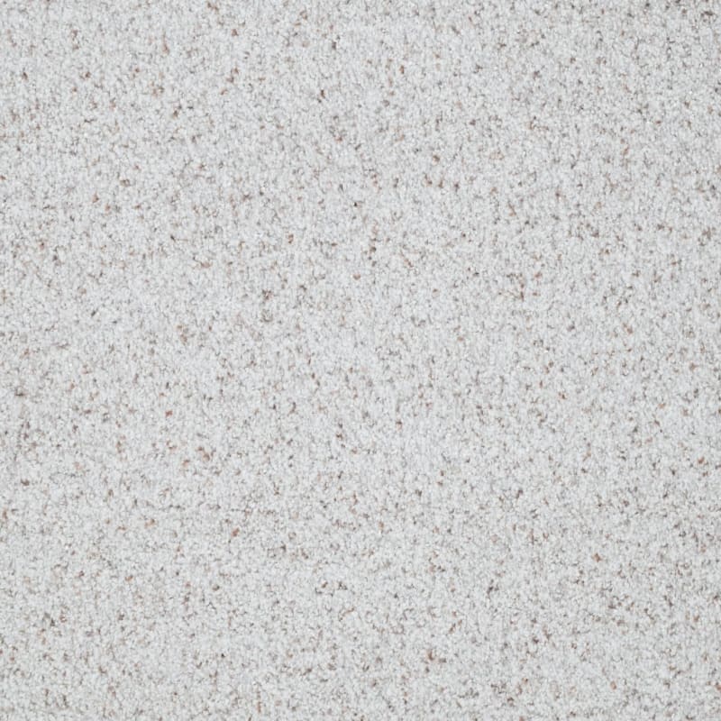 St. Augustine carpet by Masland