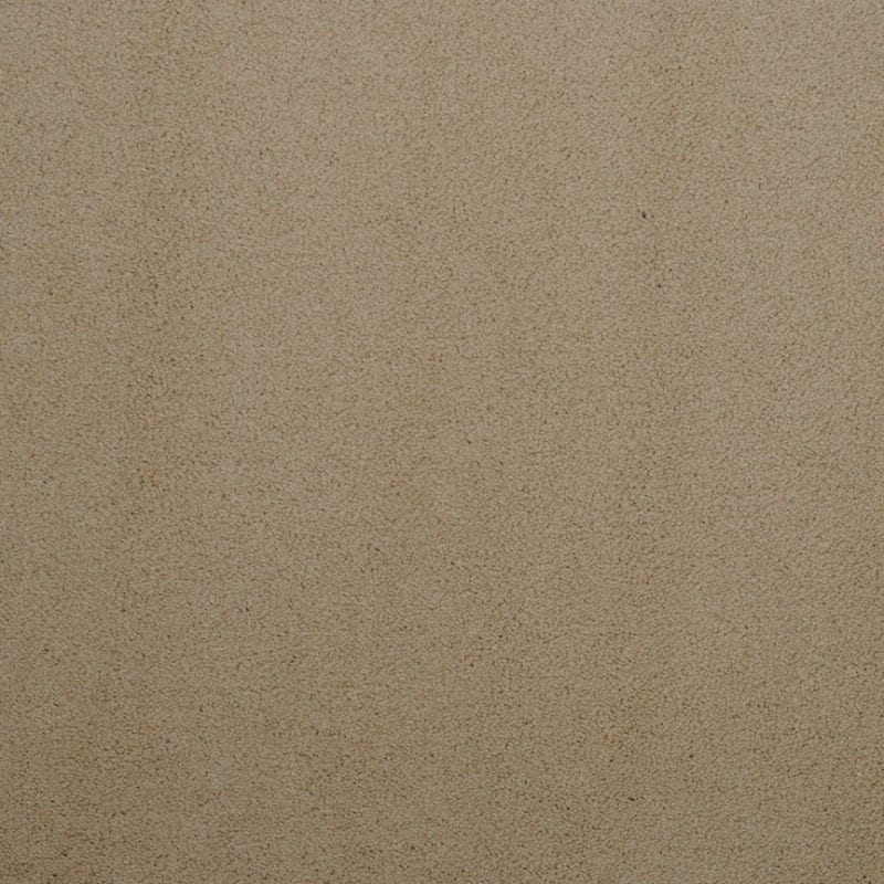 Silk Touch carpet by Masland