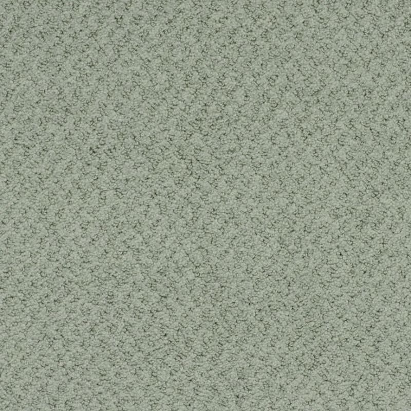 New Hope carpet by Masland