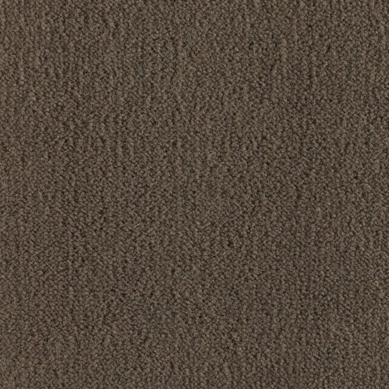 Panache carpet by Masland