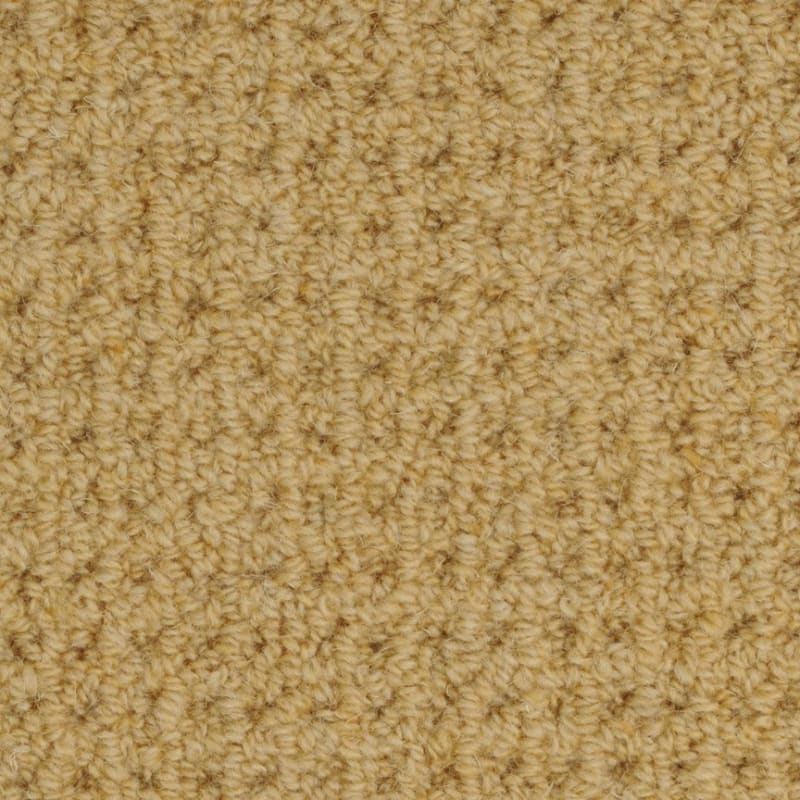 Etchings carpet by Masland