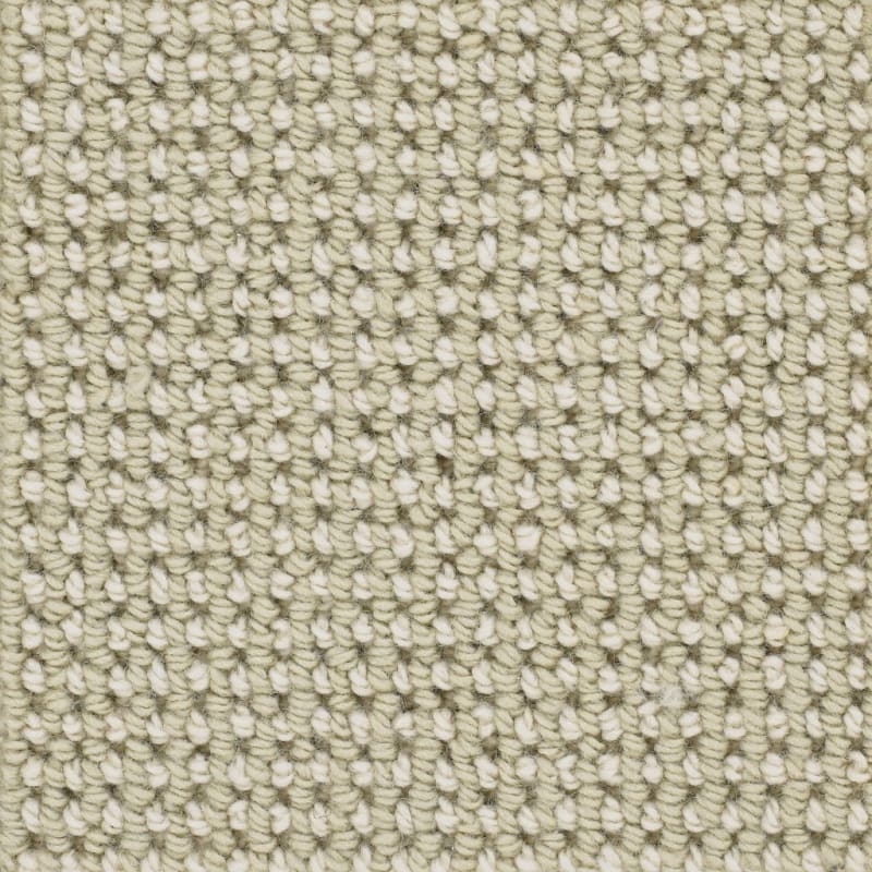 Trafalgar carpet by Masland