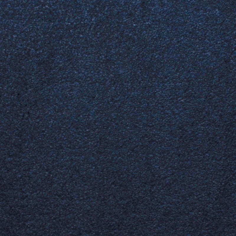 Silk Touch carpet by Masland