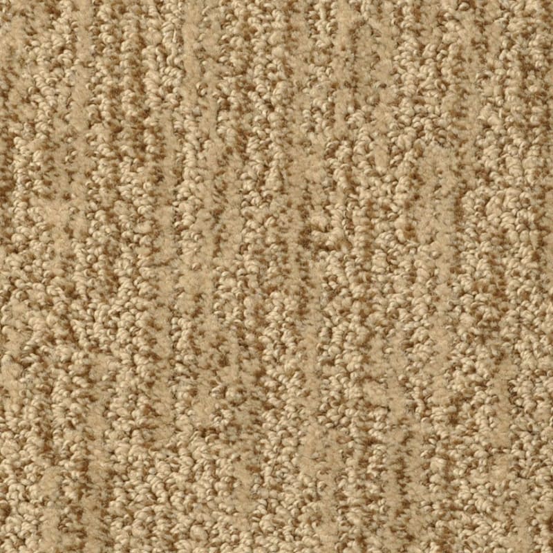 Mesa Verde carpet by Masland