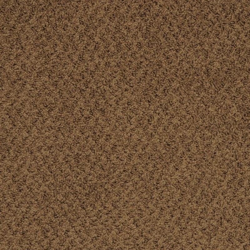 New Hope carpet by Masland