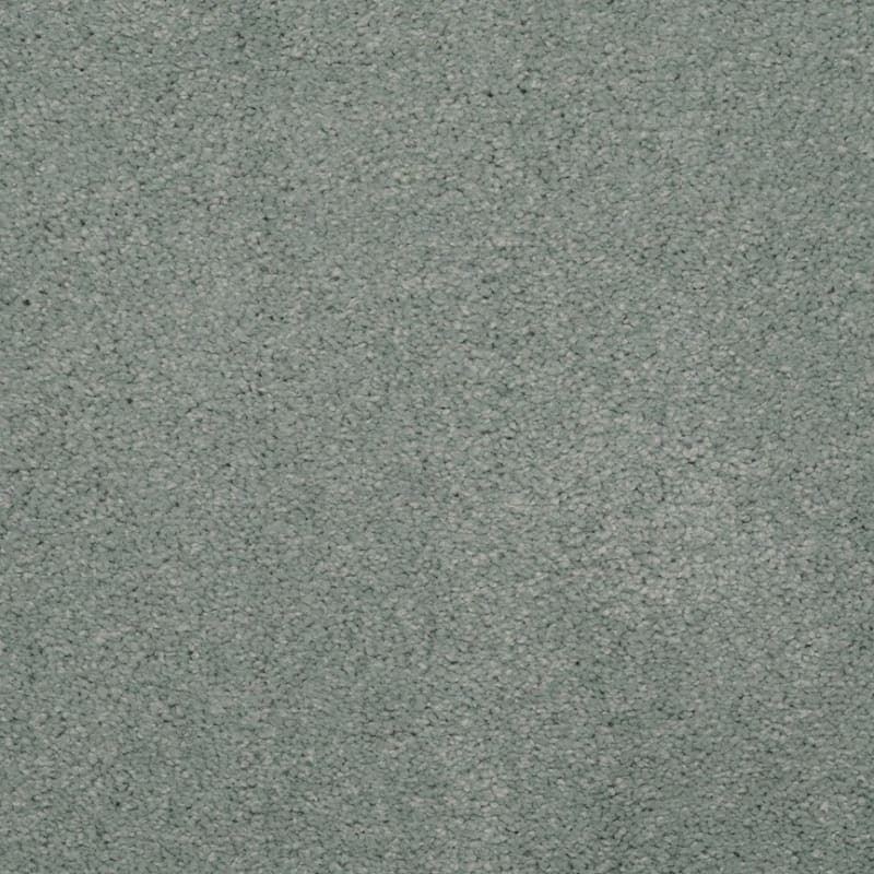 Embrace carpet by Masland