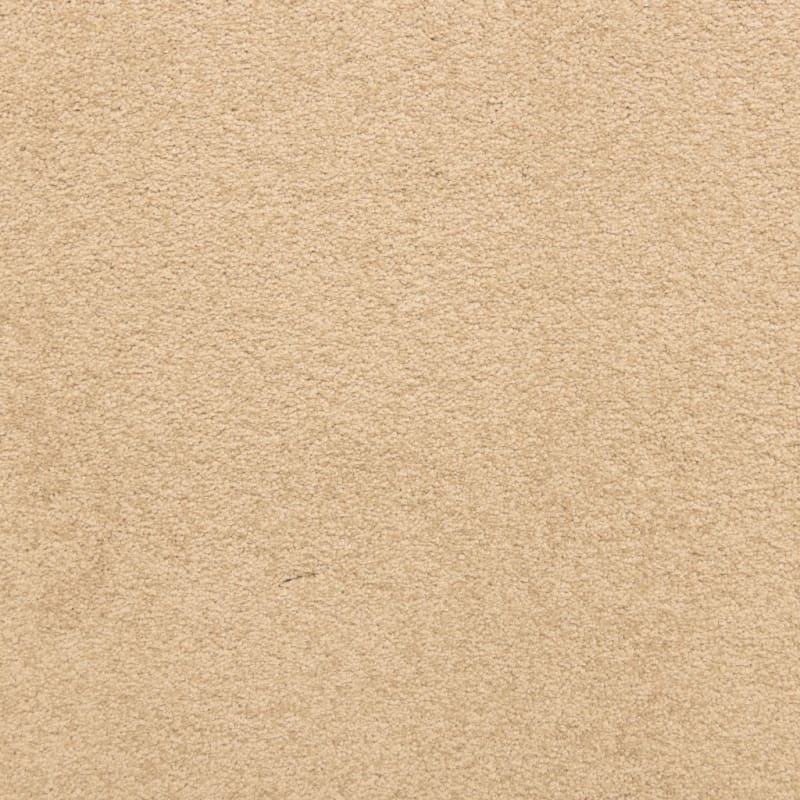 Knockout carpet by Masland