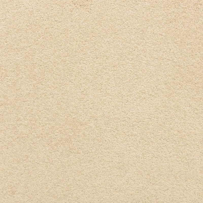 Knockout carpet by Masland
